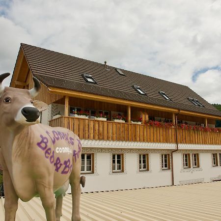 Conny'S B&B Niederweningen Kültér fotó