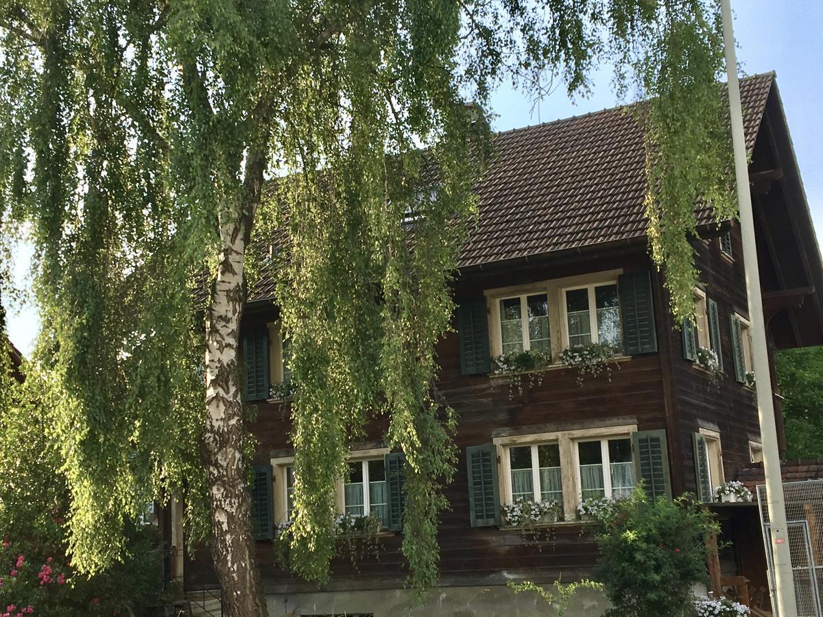 Conny'S B&B Niederweningen Kültér fotó