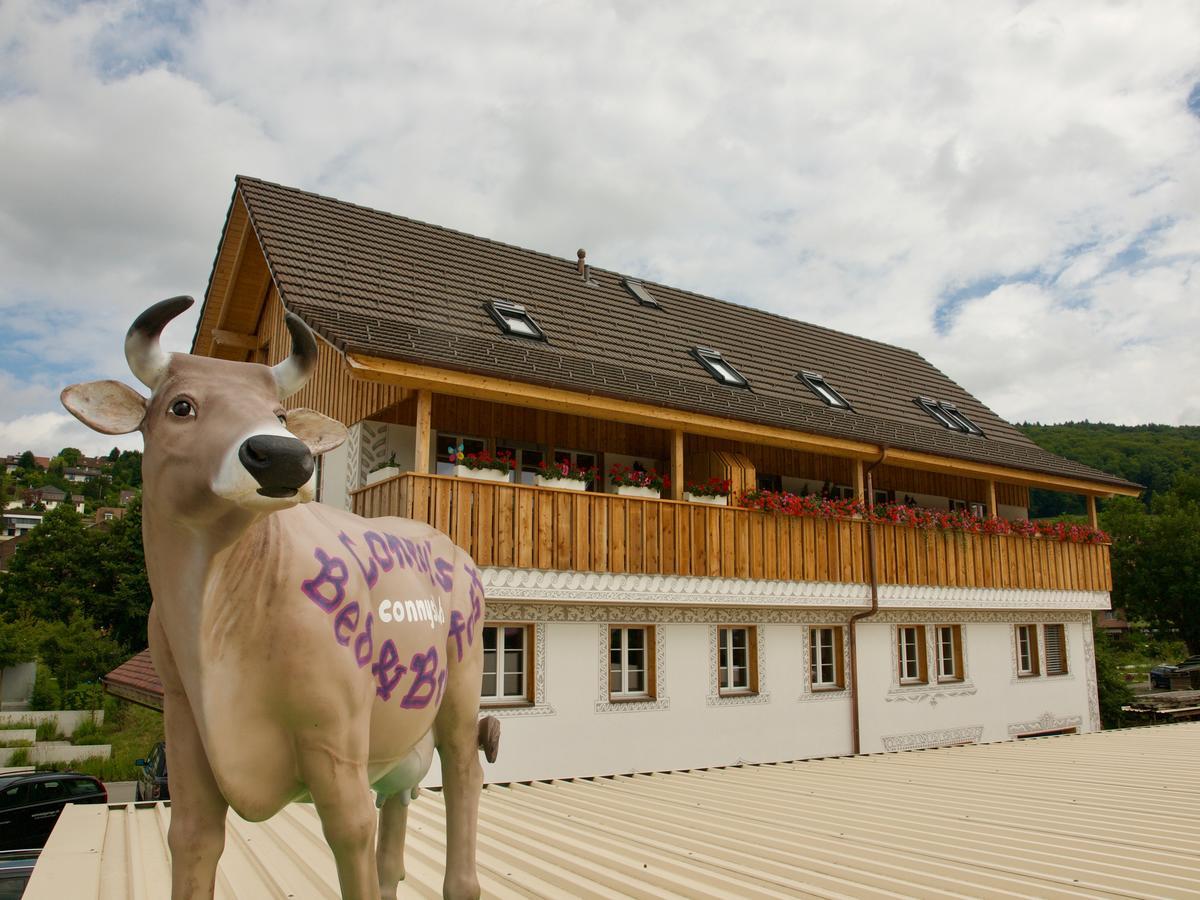 Conny'S B&B Niederweningen Kültér fotó